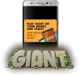 Mobile platform at Giant Bingo